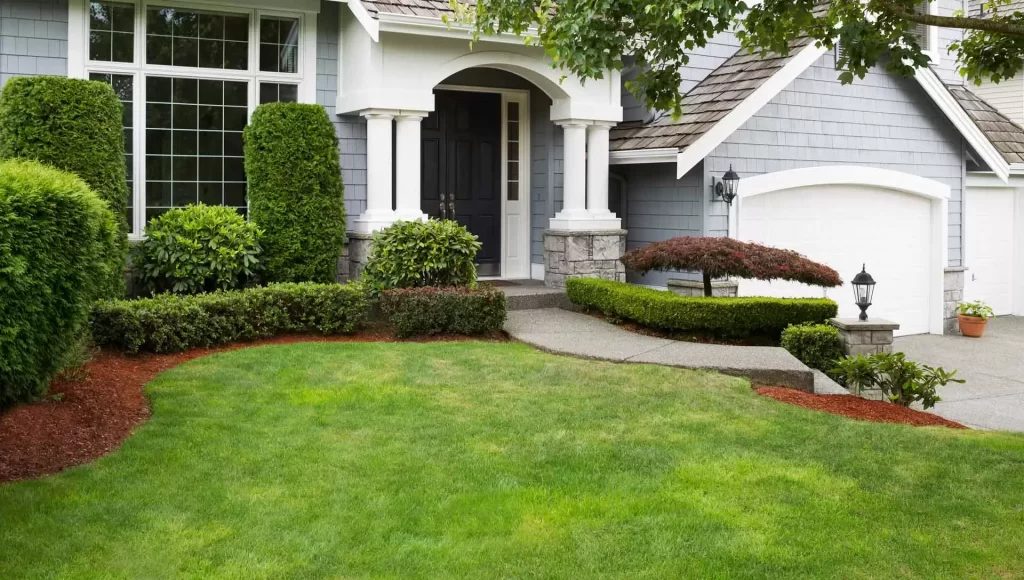 Original front yard